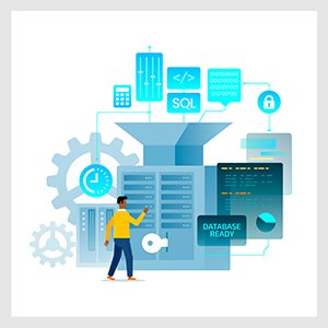 System Integration Services